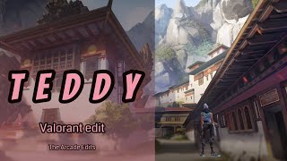 Ed Edd N Eddy - Teddy Valorant Edit
