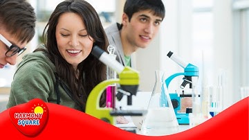 Making Observations - More Science on the Learning Videos Channel