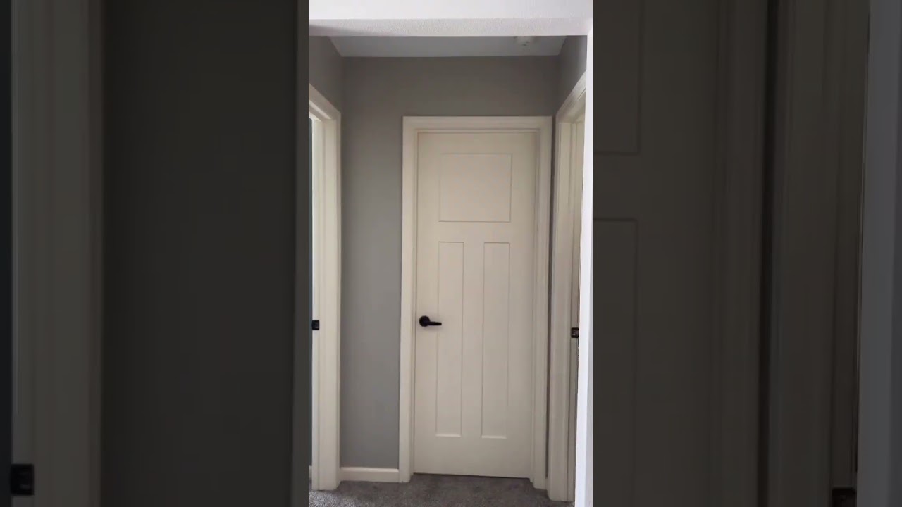 Spring Special Event Dresses | Midsize Blogger