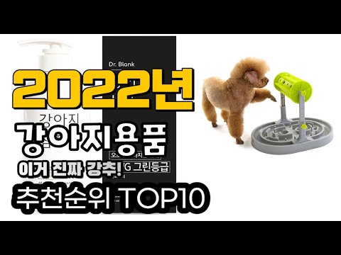 추천 강아지용품 가성비 판매 추천판매순위 TOP10