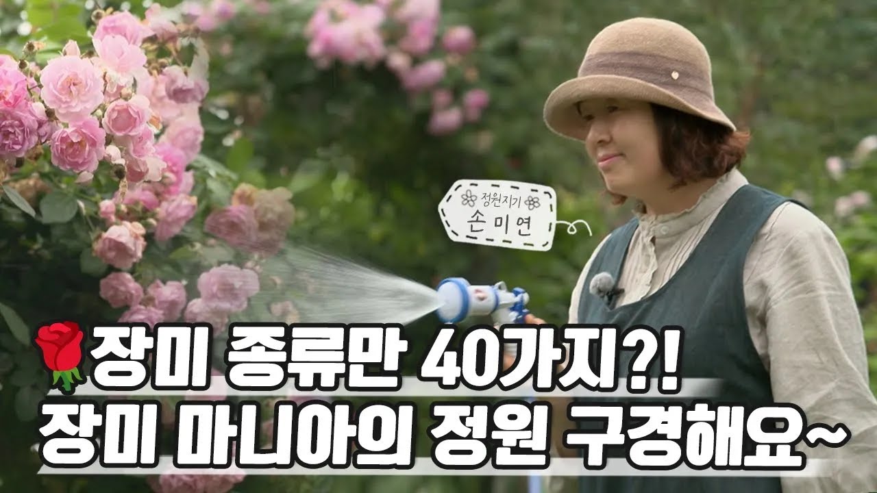 행복이 피어나는 장미 정원 속으로~ Into the Happy Rose Garden | 정원의 발견 Wonders of Garden | KBS제주20230609방송