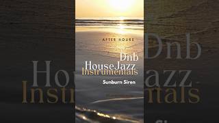 DnB House Jazz Instrumentals - Sunburn Siren Perfect for Work #short #dnb  #instrumental