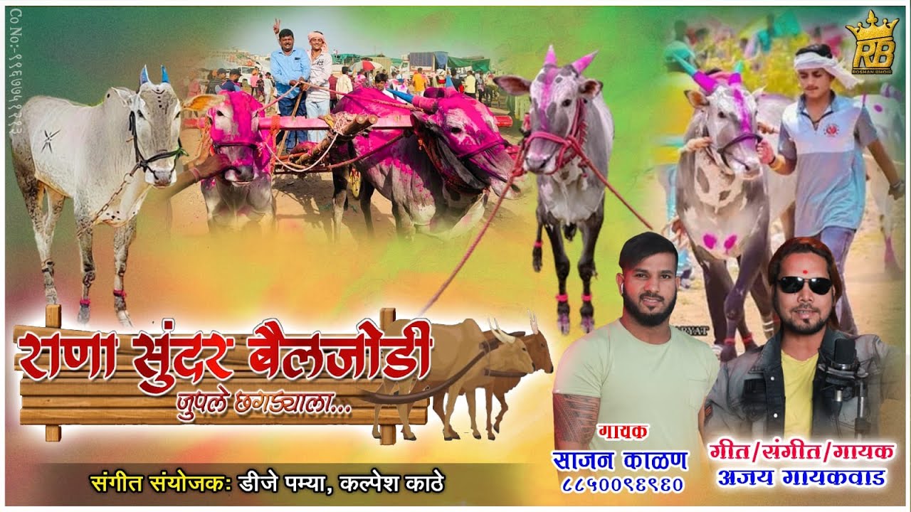 राणा सुंदर बैलजोडी जुपले छकड्याला / RANA SUNDAR BAILJODI JUPLE CHAKDYALA  SAJAN KALAN  AJAY GAIKWAD