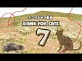 【猫用動画MIX７】ねずみ・ひもなど30分 GAME FOR CATS 7