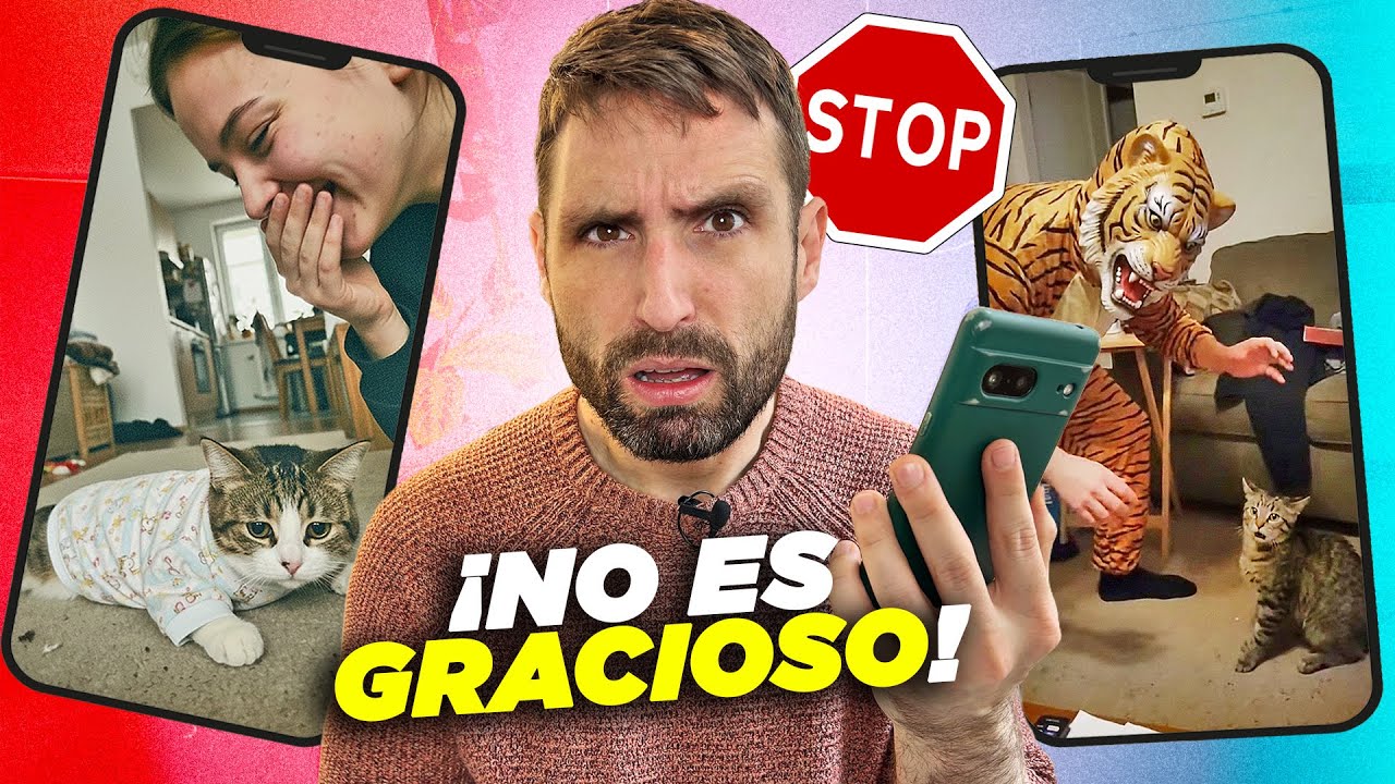 VETERINARIO REACCIONANDO a vídeos virales con gatos 🐱📱¡No le hagas esto a tu gato!