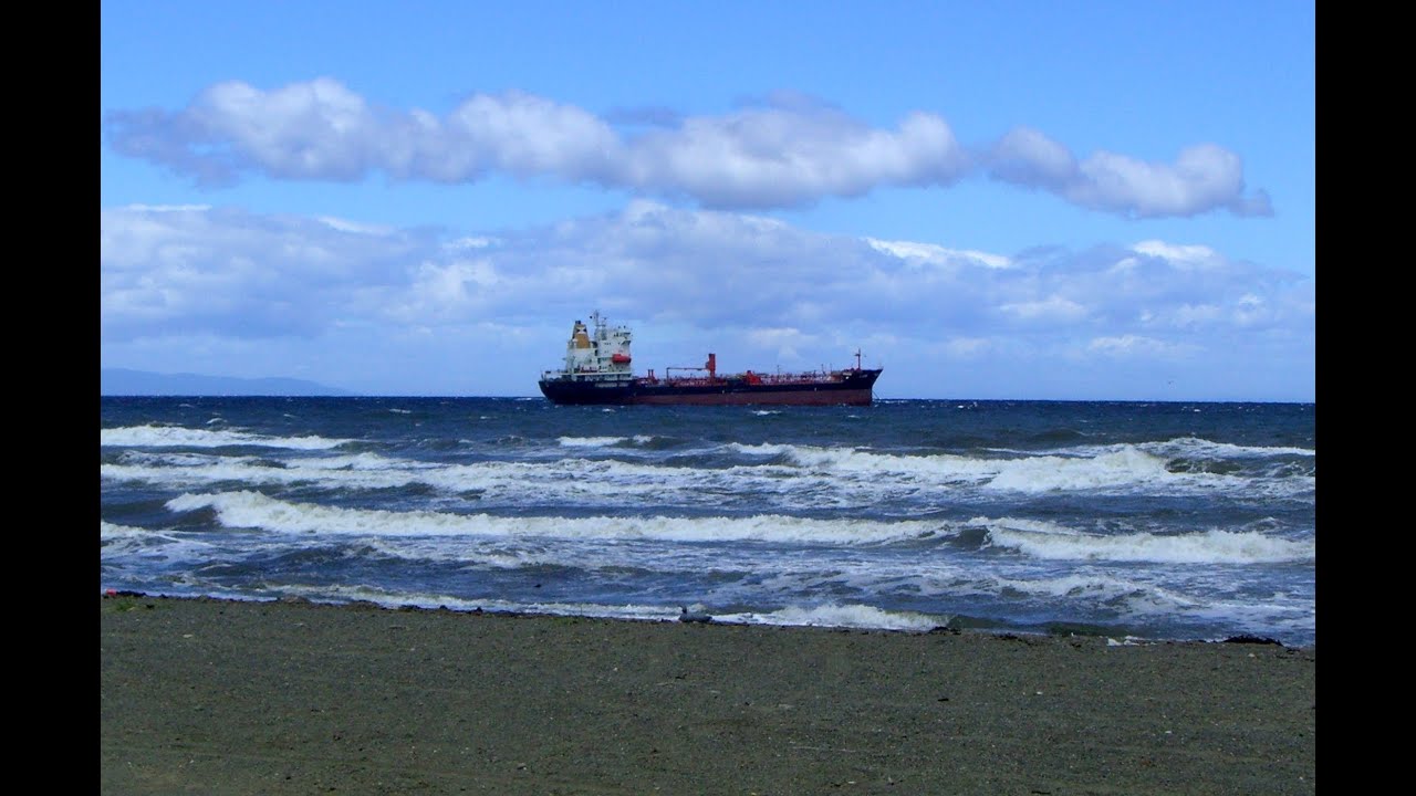 Punta Arenas, Magallanes, Region of Magallanes and Chilean Antartica Region, Chile, South America