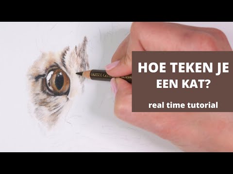 Video: Hoe Maak Je Met Je Eigen Handen Een Huis Voor Een Kat En Een Kat: Soorten Kattenhuizen (uit De Doos, Andere), Tekeningen, Maten, Instructies, Foto's Stap Voor Stap