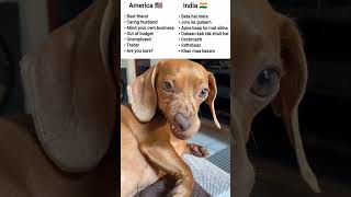 America vs India#relatable#aesthetic#lofichill#tweetreels#funnymemes#aestheticstatus#status#memes