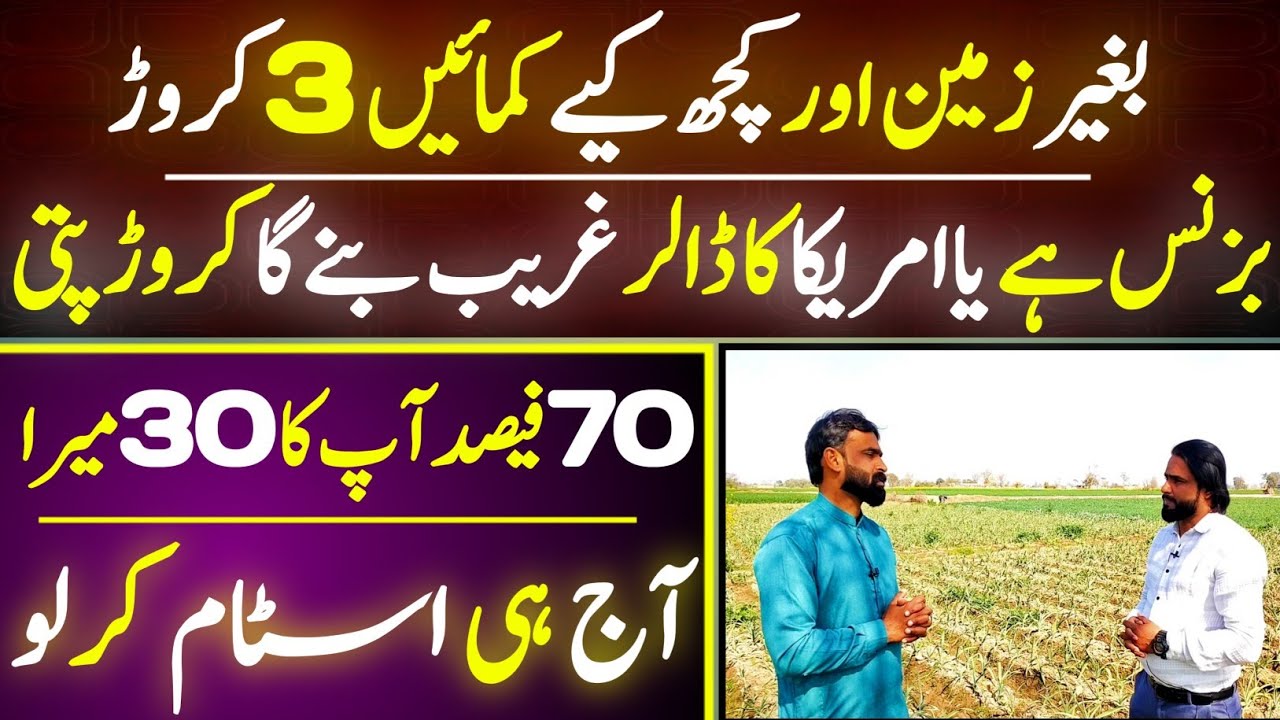 Small Business Big Earning G1 Farming in Pakistan |Narc G1 Garlic Farming