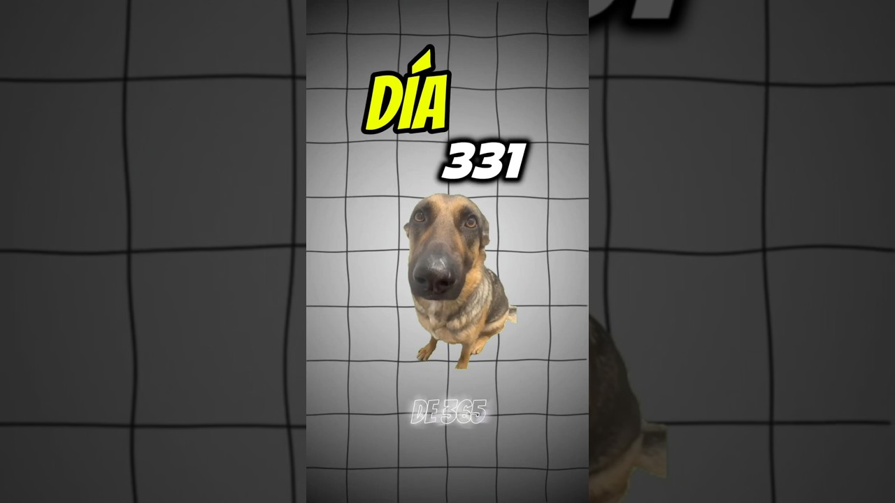 🐍 Día 331 de 365 Hoy creamos un simulador de cola de atención con prioridades 