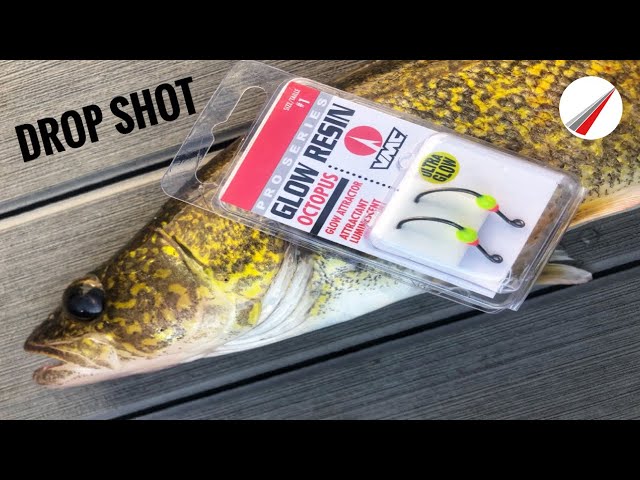 Drop Shot Walleye 