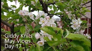 Giddy Knits May Vlogs - Day 17