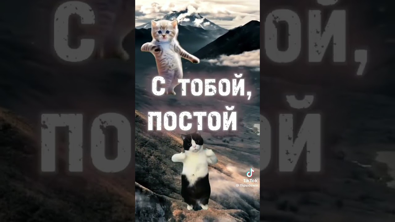 Можно я с тобой? 