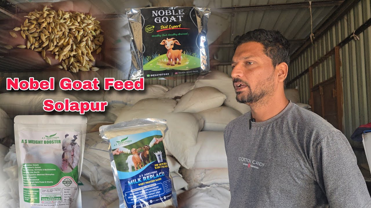 Animal Feed Shop Nobel Goat Feed Solapur All Goat Feed Available | Solapur.