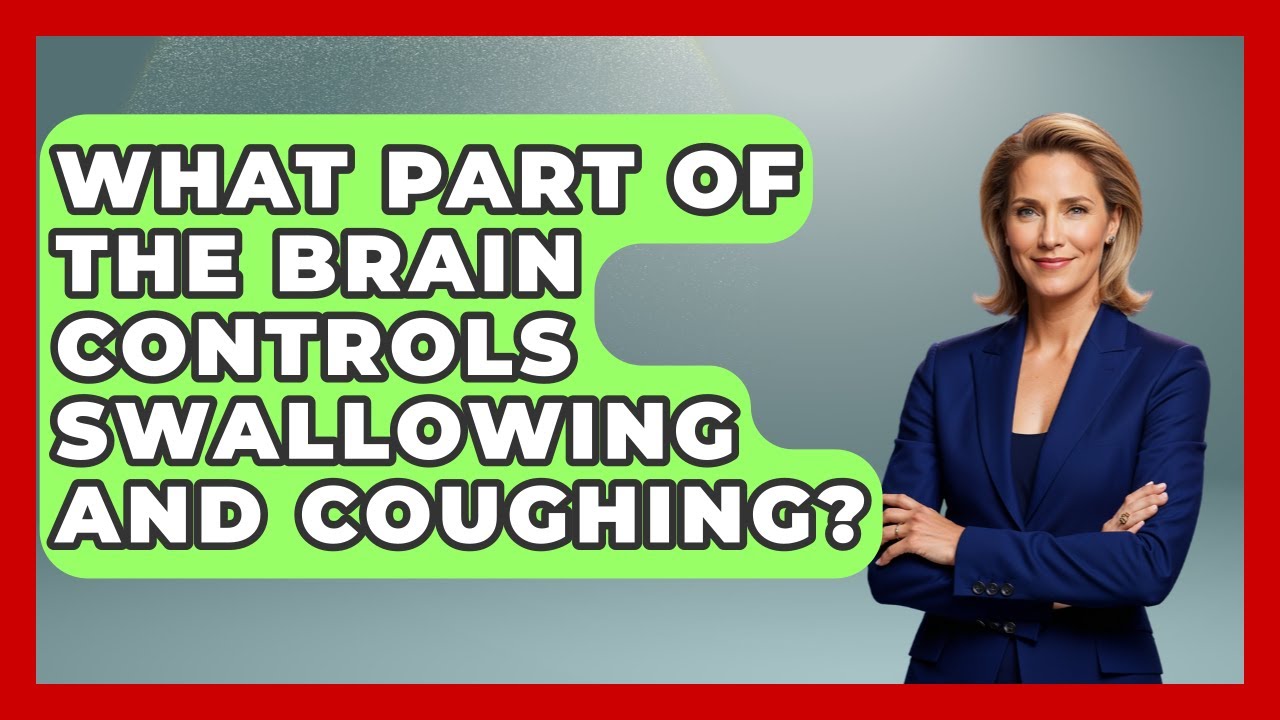 What Part of the Brain Controls Swallowing and Coughing? - Ear Nose Throat Expert