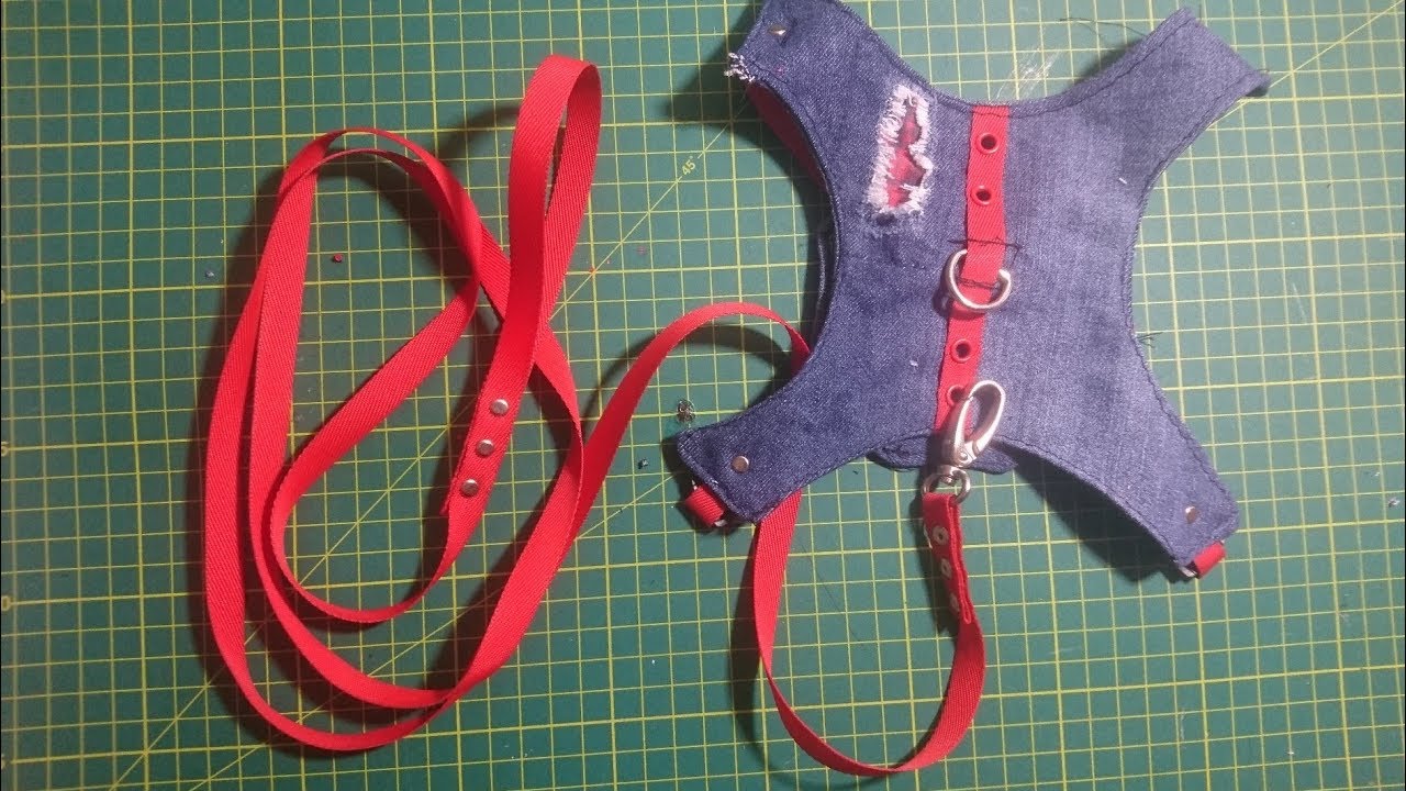 Kot Kumastan Kopek Gogus Tasmasi Yapimi We Made A Dog Collar With Jeans Youtube Kopek Dikis Kumas