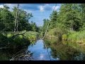 В гостях у бобра на реке Пихта)