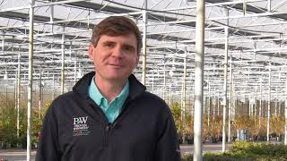 Azalea Trialing - Introducing the Perfecto Mundo Series