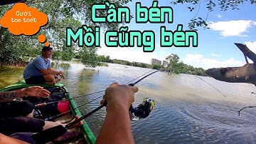 Đem cầu câu Lure new, cám HUỲNH KHOA ủ chua đi test thử và cái kết tê như con búp bê | DUY FISHING