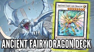 New ANCIENT FAIRY DRAGON Support! BROKEN Combos & YUGIOH Deck Profile