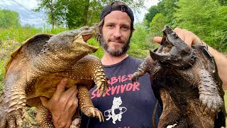 Alligator Snapping Turtles AND Common Snapper in the SAME TRAP!! 🤯