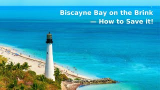 Biscayne Bay on the Brink — How to Save it! News