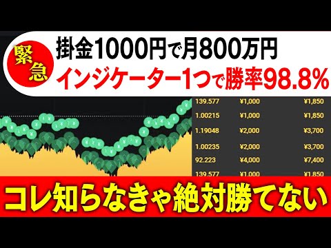 【勉強不要】掛金1000円でも1ヶ月で800万円稼げる！直近勝率98.9％を誇りインジケーター１つだけで勝てる究極のバイナリー必勝法！【バイナリーオプション】【ハイローオーストラリア】【投資】