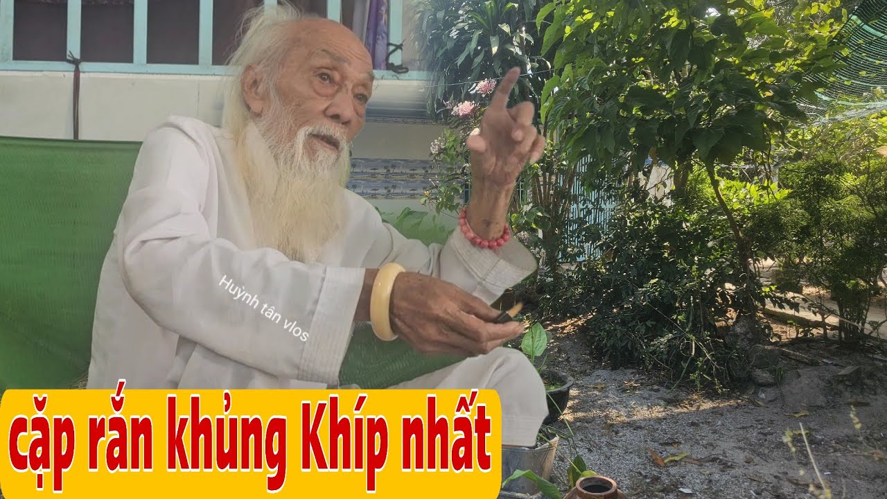 Tổng Hợp Thầy Rắn Ông Tư Đền Kể Cặp Rắn Hổ Mây Khủng Tại Núi Bà Đội Và Đ.ộc Rắn Hổ Mèo 