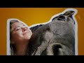 Maya Rides Her Horse at the Ranch - VOD Supercut #1