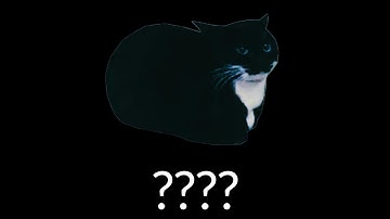 11 Maxwell The Cat Sound Variations in 43 Seconds