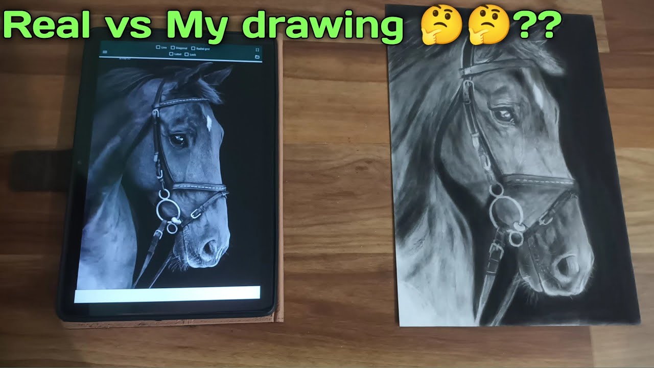Drawing Horse || Drawing Challenge Real vs My Drawing 😍😍 - YouTube