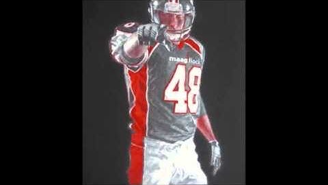 Multi Color Flock | Fassi Digital Weston, Fl