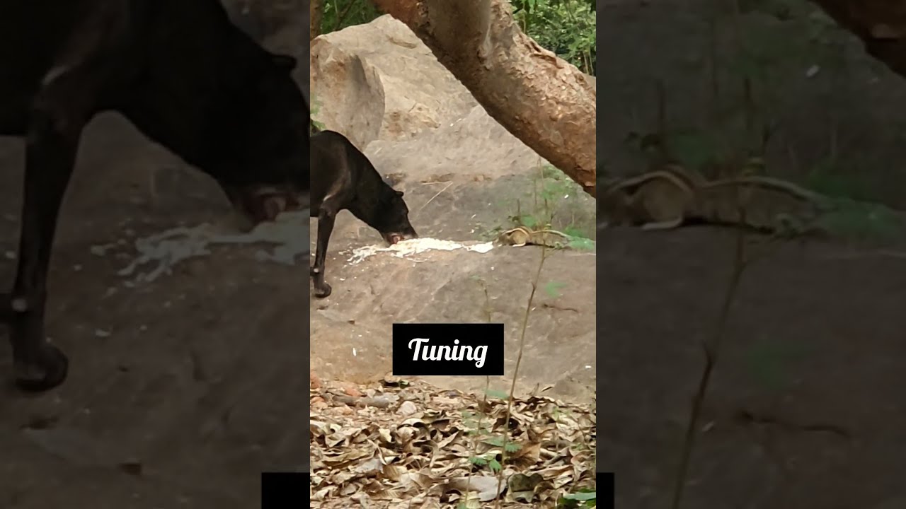 All schools and centers of JNU in winter season...