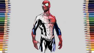 SPIDER-MAN SLIMMING BODY Coloring Page | Pixie Dust - Stay [NCS10 Release]