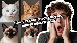 How Cat Coat Colors Reveal Hidden Health Risks
