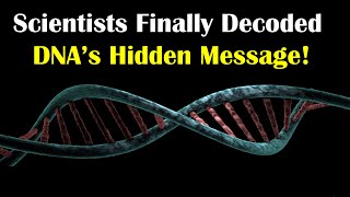 Scientists Finally Decoded The Hidden Messages in Your DNA! Profile