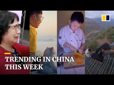 Trending in China: Travelling man and his cat, and more