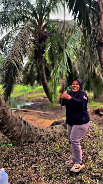 Syakalakebomm #dj #remix #music #strikeikanbabon #shorts #fyp #mancing