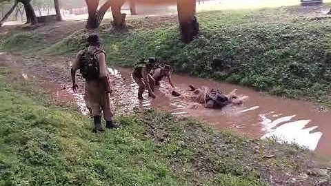 SSC GD Training centre RTC Neemuch#crpf#sscgd #cisf #ssf #viral #viralvideo#video #foji #army #sscgd