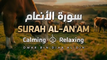 تلاوة مريحة من سورة الأنعام | إنما يستجيب الذين يسمعون 🌟🤍