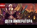 Кто такие Дети Императора / Warhammer 40000