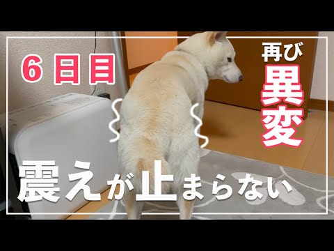 【異変6日目】怖すぎて震えが止まらない!どんな音も恐怖!!