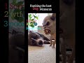 Ranking the best Dog moments