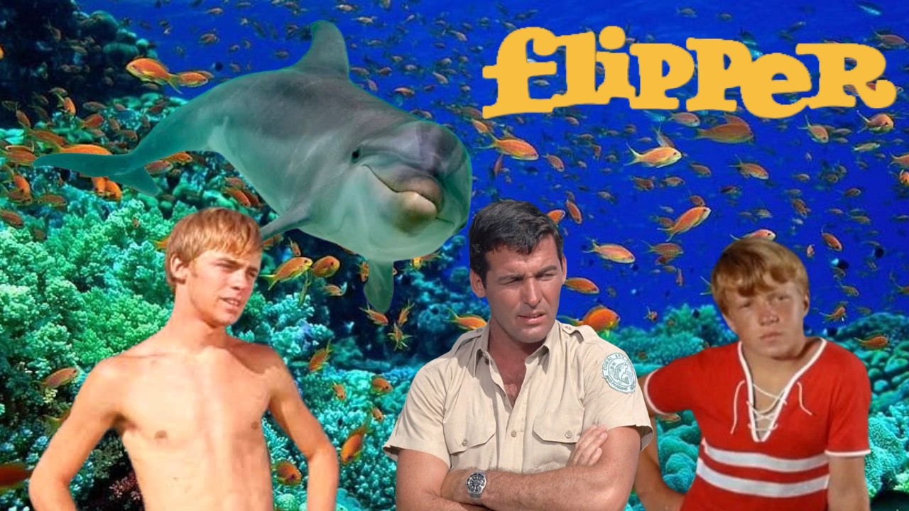 Флиппер (1964) — 62 года спустя — Обновление состава — Тогда и сейчас