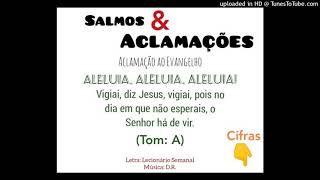 Vídeo de ALELUIA - VIGIAI DIZ JESUS, VIGIAI (Salmos e Aclamações - D.R)