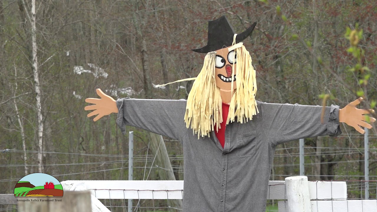 Annapolis Valley Farmland Trust - Cameron's Farm