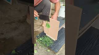 Self-made tools for safely cutting vegetables