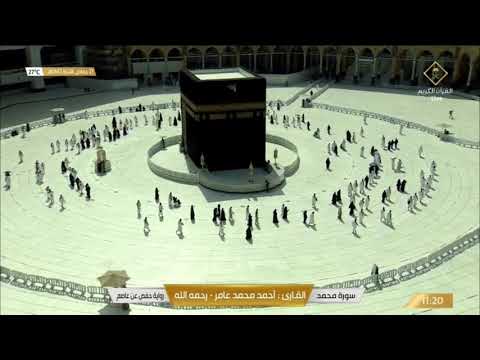 سورة محمد بصوت القارئ أحمد محمد عامر 