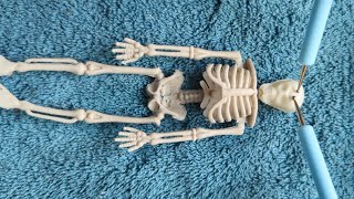 ASMR - Skeleton Spa - Massaging and Cleaning - Soft Spoken - No Gloves screenshot 5