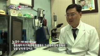 순간포착 세상에 이런일이(임성훈,박소현) 131107 #6(2)
